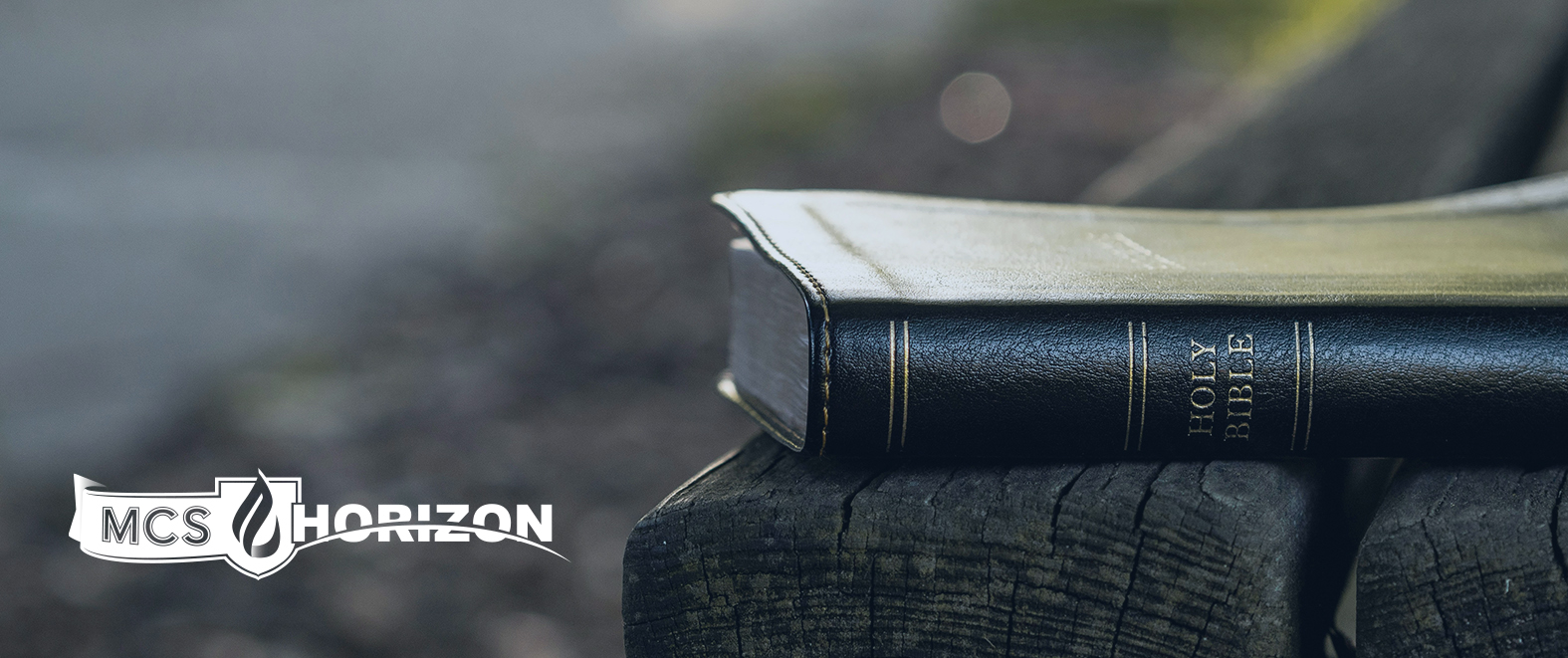 Protected: Intro to the Old Testament A24